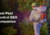 The Role of Web Accessibility in SEO for Pest Control Websites