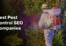 The Role of Web Accessibility in SEO for Pest Control Websites