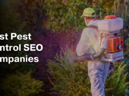 The Role of Web Accessibility in SEO for Pest Control Websites
