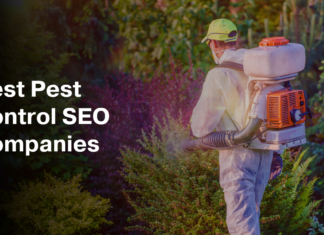 The Role of Web Accessibility in SEO for Pest Control Websites